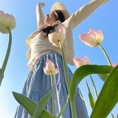 血宝藏第二季
